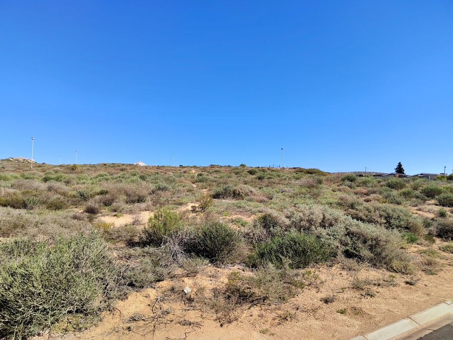 0 Bedroom Property for Sale in Steenbergs Cove Western Cape